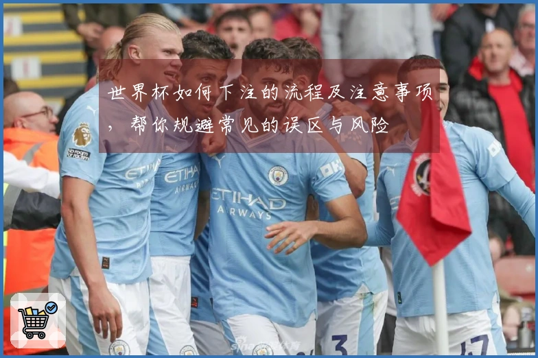 世界杯如何下注的流程及注意事项，帮你规避常见的误区与风险