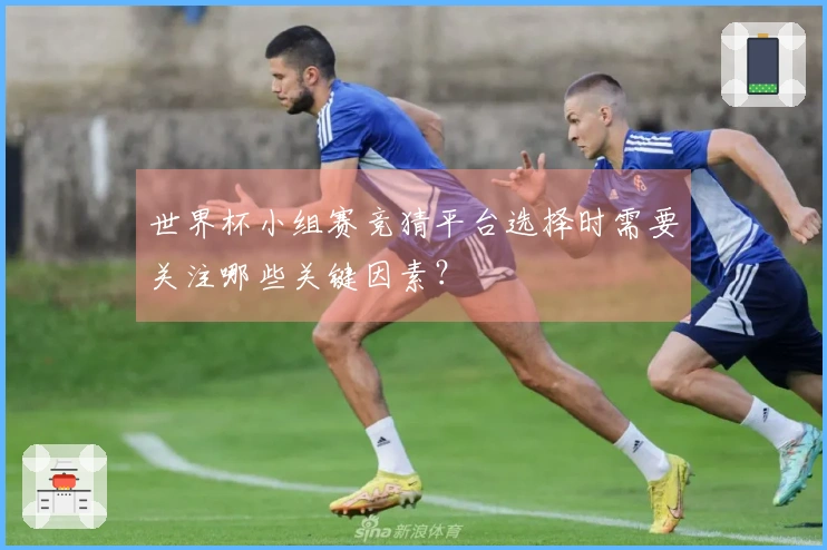 世界杯小组赛竞猜平台选择时需要关注哪些关键因素?
