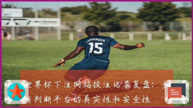 世界杯下注网站投注记录复盘：如何判断平台的真实性和安全性