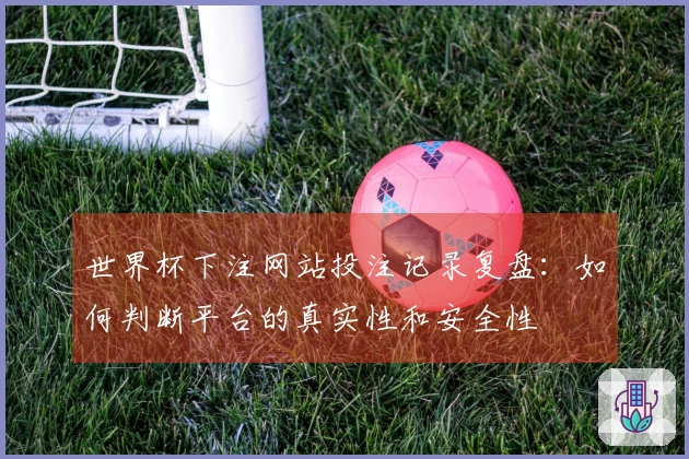 世界杯下注网站投注记录复盘：如何判断平台的真实性和安全性