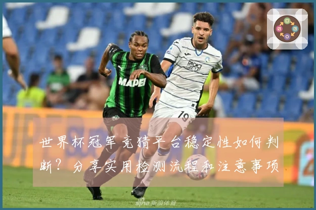 世界杯冠军竞猜平台稳定性如何判断?分享实用检测流程和注意事项