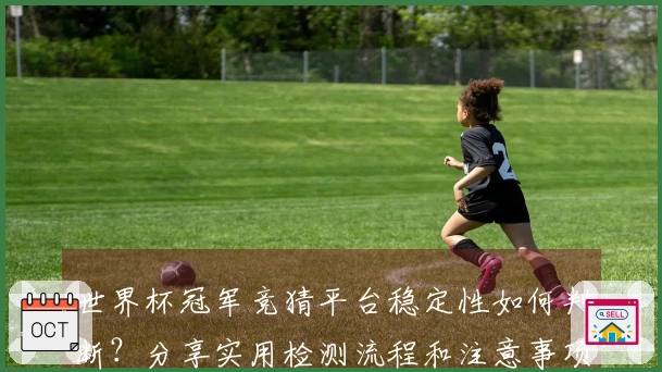 世界杯冠军竞猜平台稳定性如何判断？分享实用检测流程和注意事项