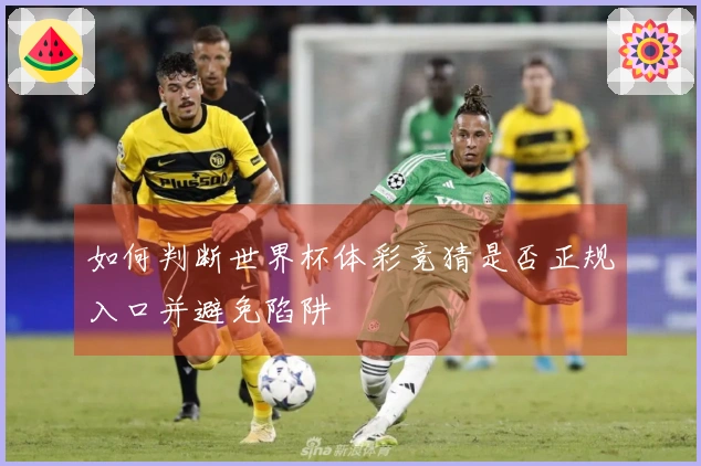 如何判断世界杯体彩竞猜是否正规入口并避免陷阱