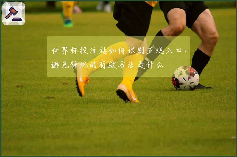 世界杯投注站如何识别正规入口,避免踩坑的有效方法是什么